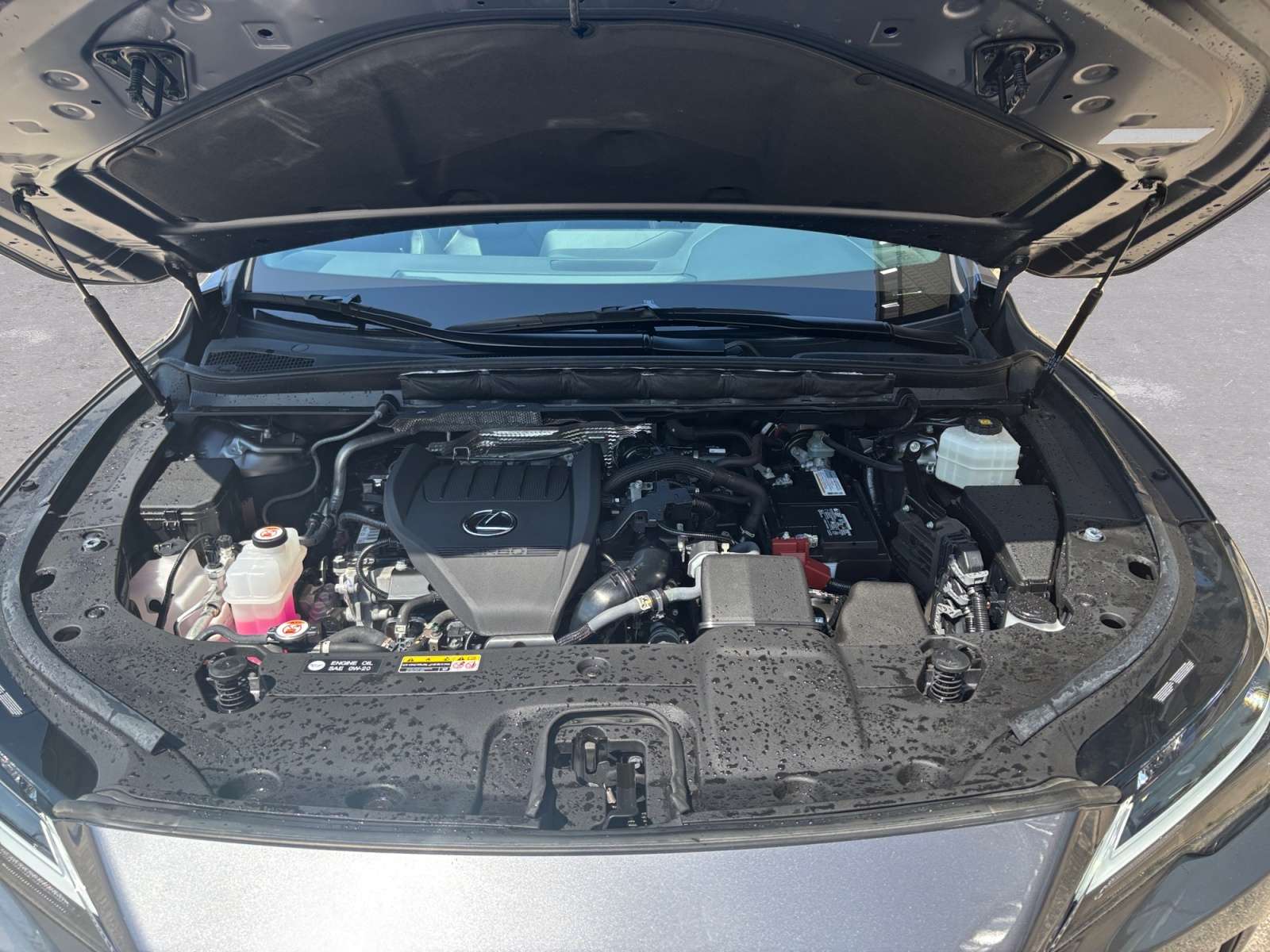 used 2023 Lexus RX car, priced at $51,988