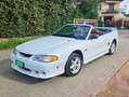 Ford Mustang 4.6 GT CABRIO Wit - thumbnail 9