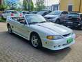 Ford Mustang 4.6 GT CABRIO Bianco - thumbnail 10