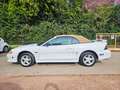 Ford Mustang 4.6 GT CABRIO White - thumbnail 7