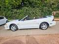 Ford Mustang 4.6 GT CABRIO White - thumbnail 8
