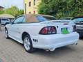 Ford Mustang 4.6 GT CABRIO Weiß - thumbnail 4