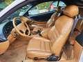 Ford Mustang 4.6 GT CABRIO Blanc - thumbnail 13