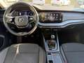 Skoda Octavia 2.0TDI Ambition 85kW Grau - thumbnail 9