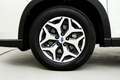 Subaru Forester 2.0i Hybrid Executive Plus CVT Silber - thumbnail 12