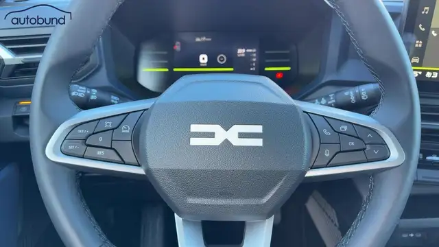 Dacia Bigster view 10