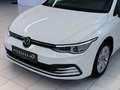 Volkswagen Golf VIII 2.0 TDI Life*AHK*ACC*AMBIENTE*LED* Weiß - thumbnail 5