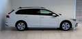 Volkswagen Golf VIII 2.0 TDI Life*AHK*ACC*AMBIENTE*LED* Weiß - thumbnail 4