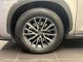 Lexus NX 450h+ Executive 4WD - thumbnail 10