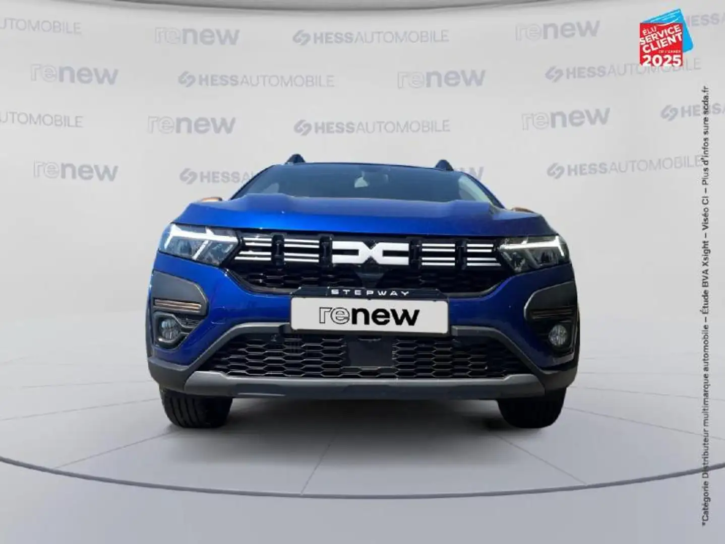 Dacia Sandero 1.0 ECO-G 100ch Stepway Extreme + Camera GPS Blauw - 2