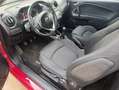 Alfa Romeo MiTo MiTo 1.4 78 CV 8V S&S Super Rosso - thumbnail 7