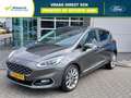 Ford Fiesta 1.0 EcoBoost 100pk Automaat 5dr Vignale | Navigati Grijs - thumbnail 1