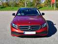 Mercedes-Benz E 220 E 220 d 9G-TRONIC Avantgarde Rouge - thumbnail 4