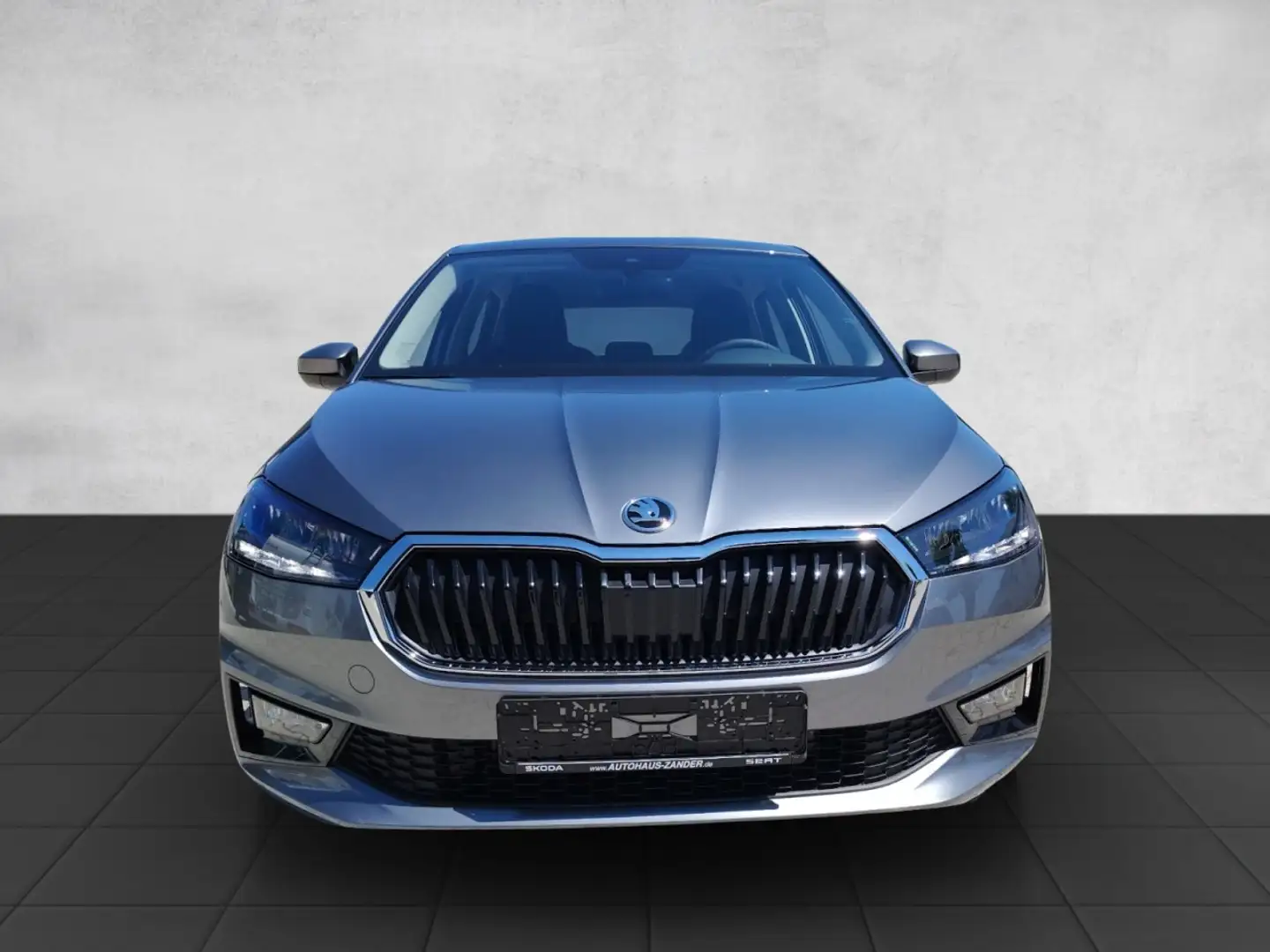 Skoda Fabia Sondermodell 130 Jahre Edit. 1.0 MPI Grau - 2