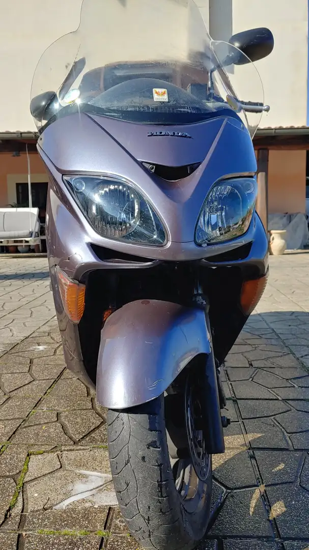 Honda Forza 250 Paars - 2