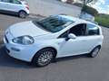 Fiat Punto 5p 1.3 mjt 16v Easy 75cv bijela - thumbnail 3