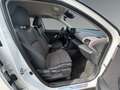 Toyota Yaris Cross Yaris Cross 1,5 VVT-i Hybrid Weiß - thumbnail 12