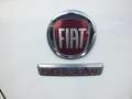 Fiat Fiorino 1.3 MJT 80 CV EURO 6 - UNIPROPRIETARIO IVA ESPOSTA - thumbnail 25