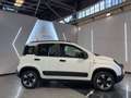Fiat Panda 1.2 CROSS Waze s Blanc - thumbnail 4