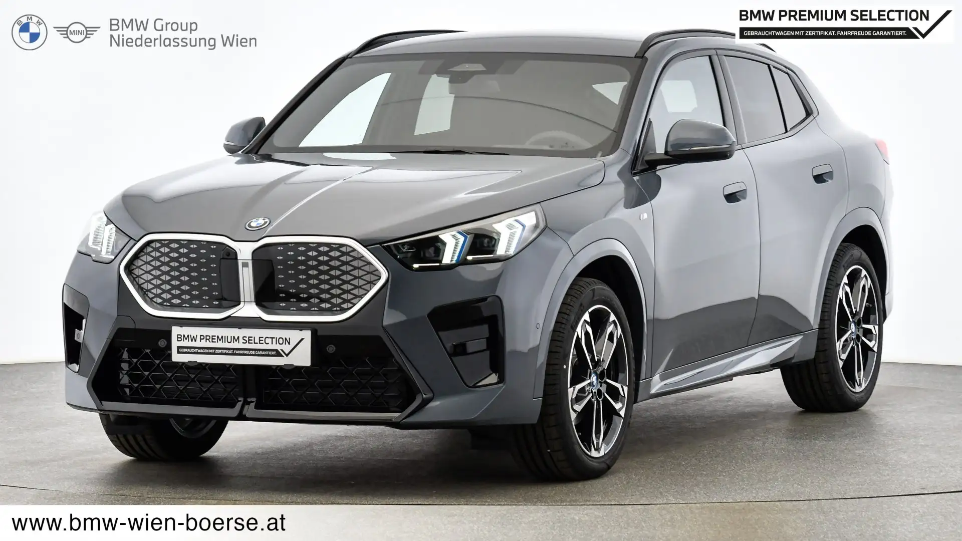 BMW iX2 iX2 eDrive20 Grau - 1