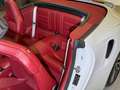 Porsche 911 Turbo Cabriolet~BURMESTER~MATRIX~KAMERA 360 Blanc - thumbnail 19