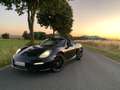 Porsche Boxster 6 Zylinder Sauger 19" SAGA VOLLLEDER 981 Noir - thumbnail 1
