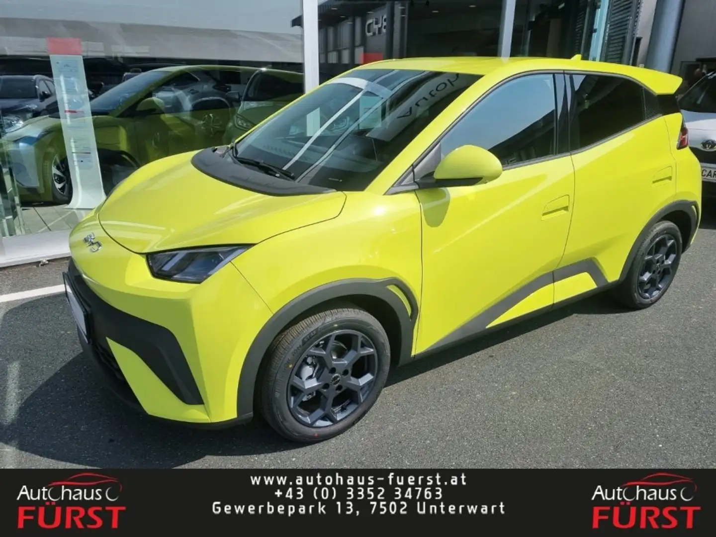 BYD Dolphin Surf Boost Grün - 1