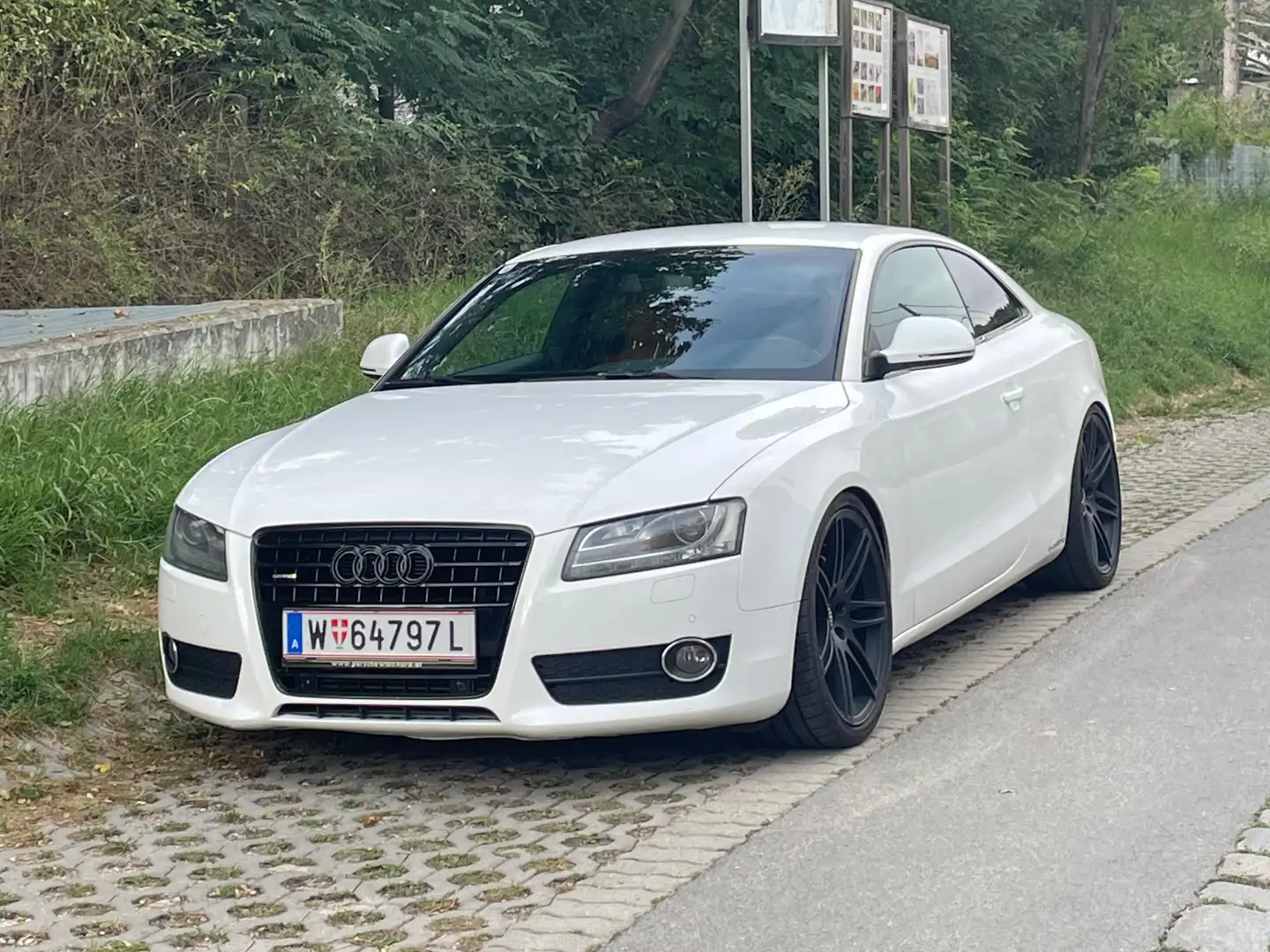 Audi A5 A5 Coupé 3,0 TDI V6 quattro DPF Weiß - 1