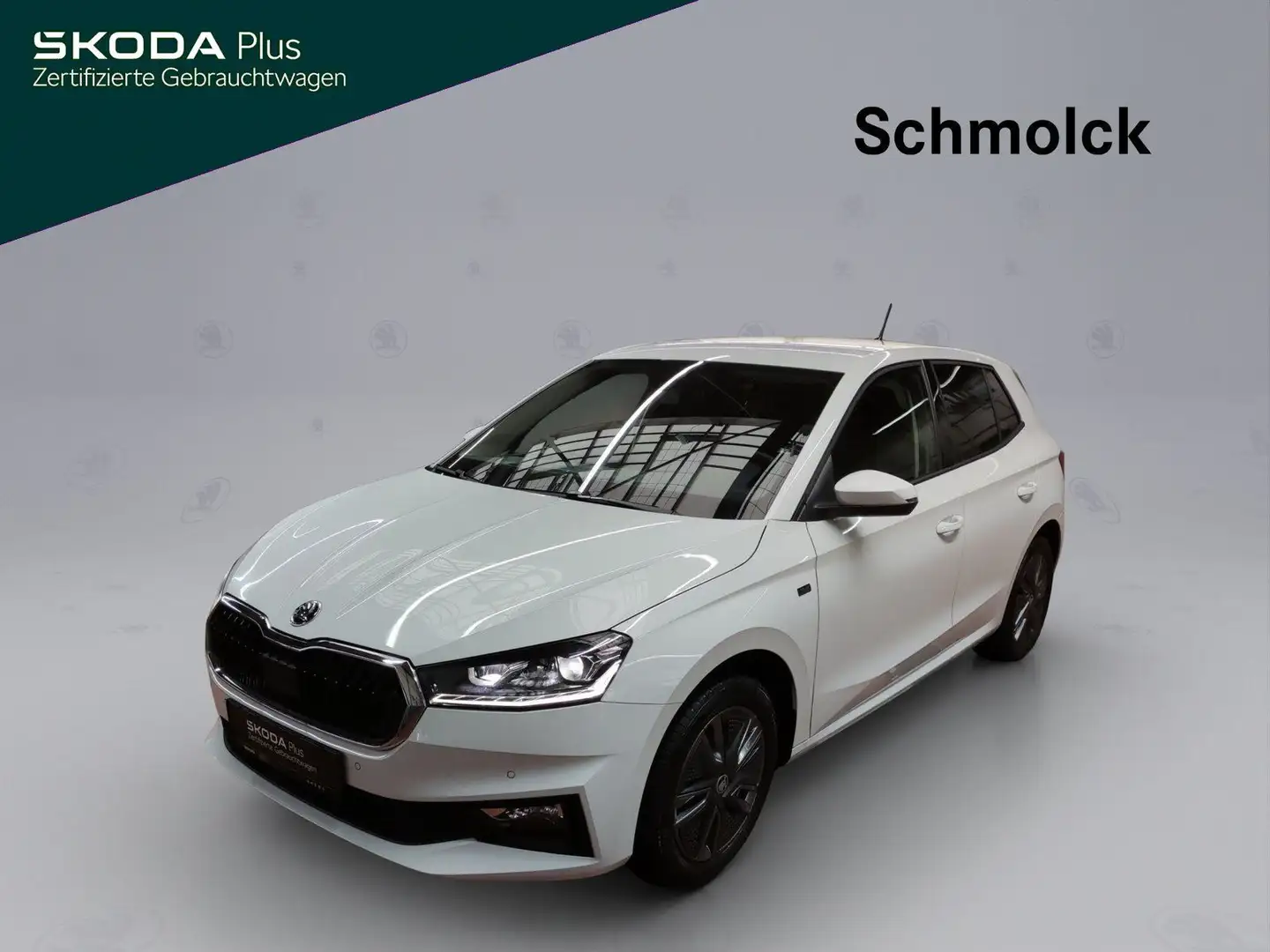Skoda Fabia Tour 1.0 TSI DSG RFK PDC NAVI GRA DAB Weiß - 1