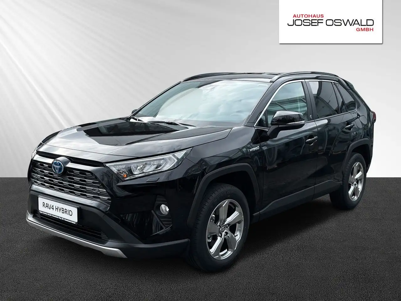 Toyota Sonstige RAV 4 RAV4 Hybrid 4x2 Team Deutschland — photo 1 of 13