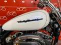 Harley-Davidson XL 1200 T C Bianco - thumbnail 11
