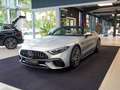Mercedes-Benz SL 63 AMG SL 63 AMG 4M+ MATTLACK Lift MANUFAKTUR Interieur Silber - thumbnail 29