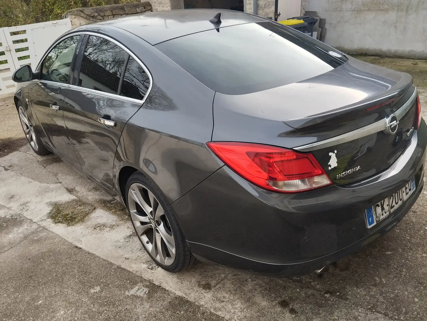 Opel Insignia 2.0 CDTI - 160 FAP EcoFLEX Cosmo Pack 4x4 - 2