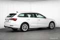 Skoda Octavia Combi iV Style AHK MATRIX ACC ASSISTENZ Weiß - thumbnail 35