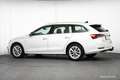 Skoda Octavia Combi iV Style AHK MATRIX ACC ASSISTENZ Weiß - thumbnail 41