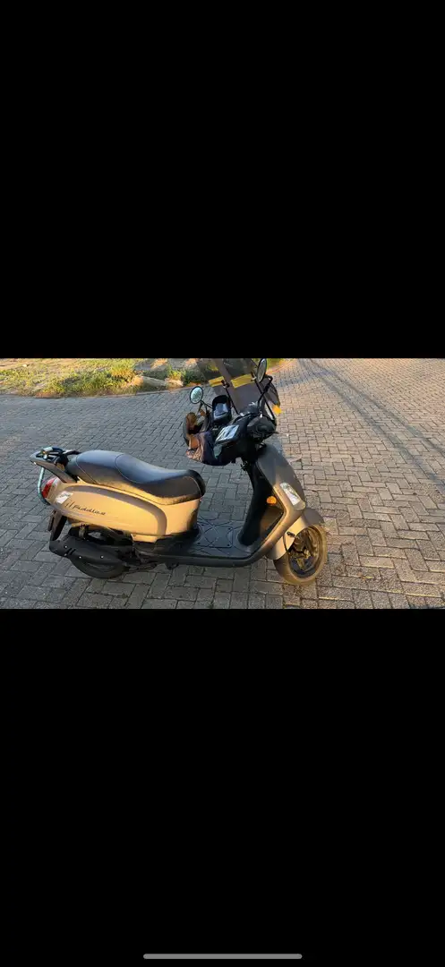 SYM Fiddle 50 fiddle II Euro 4 Szary - 1