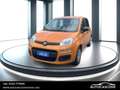 Fiat New Panda Panda 1.0 FireFly S&S Hybrid Arancione - thumbnail 1