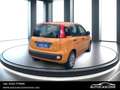 Fiat New Panda Panda 1.0 FireFly S&S Hybrid Arancione - thumbnail 4