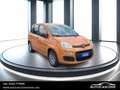 Fiat New Panda Panda 1.0 FireFly S&S Hybrid Arancione - thumbnail 3