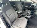 Kia Sportage 1.6 MHEV Business 100kW (136CV) 4x4 Blanc - thumbnail 10