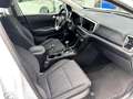 Kia Sportage 1.6 MHEV Business 100kW (136CV) 4x4 Blanc - thumbnail 9
