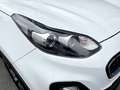 Kia Sportage 1.6 MHEV Business 100kW (136CV) 4x4 Blanc - thumbnail 18