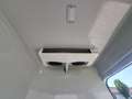 Ford Transit 350 L3  Kühlkasten Blanc - thumbnail 4