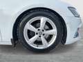 Audi A6 40 TDI quattro sport Weiß - thumbnail 11