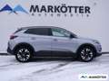Opel Grandland 1.2 Turbo 360CAM/Totwink./SHZ/LHZ/AHK Grau - thumbnail 3