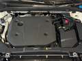 Volvo V60 CROSS COUNTRY 2.0D B-4 4WD 197CV.- " HÍBRIDO ETIQ Blanco - thumbnail 34