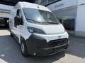 Toyota Proace Max 35 L3H2 2,2 140 Prowork Weiß - thumbnail 2