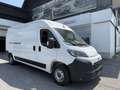 Toyota Proace Max 35 L3H2 2,2 140 Prowork Weiß - thumbnail 1
