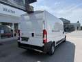 Toyota Proace Max 35 L3H2 2,2 140 Prowork Weiß - thumbnail 5