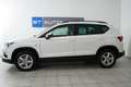 SEAT Ateca Reference // AHK // SITZHEIZUNG // PDC // Weiß - thumbnail 7